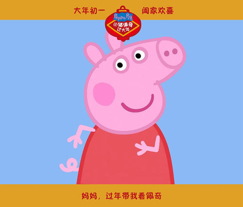 定制高仿法国护照